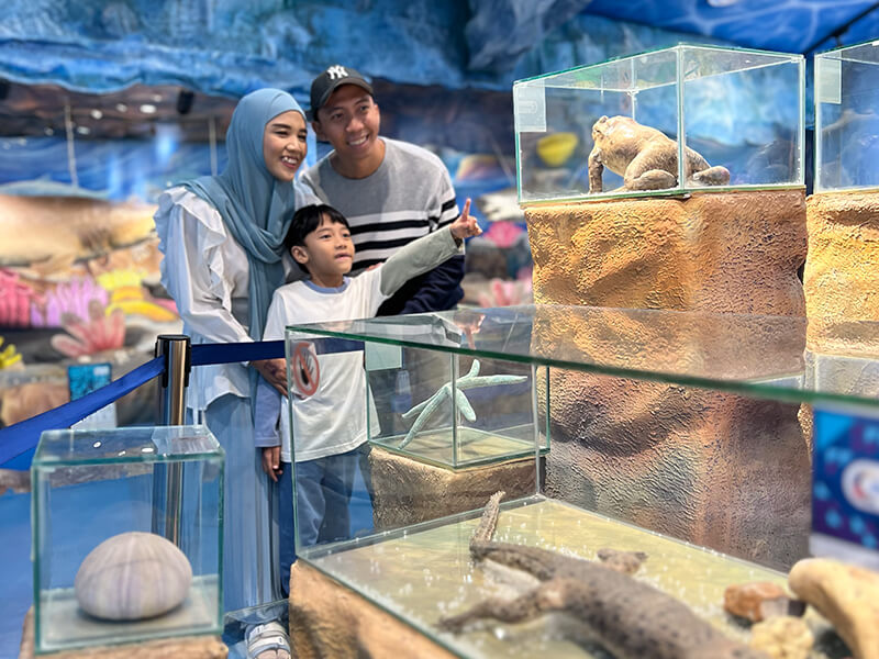 wahana interactive aquarium