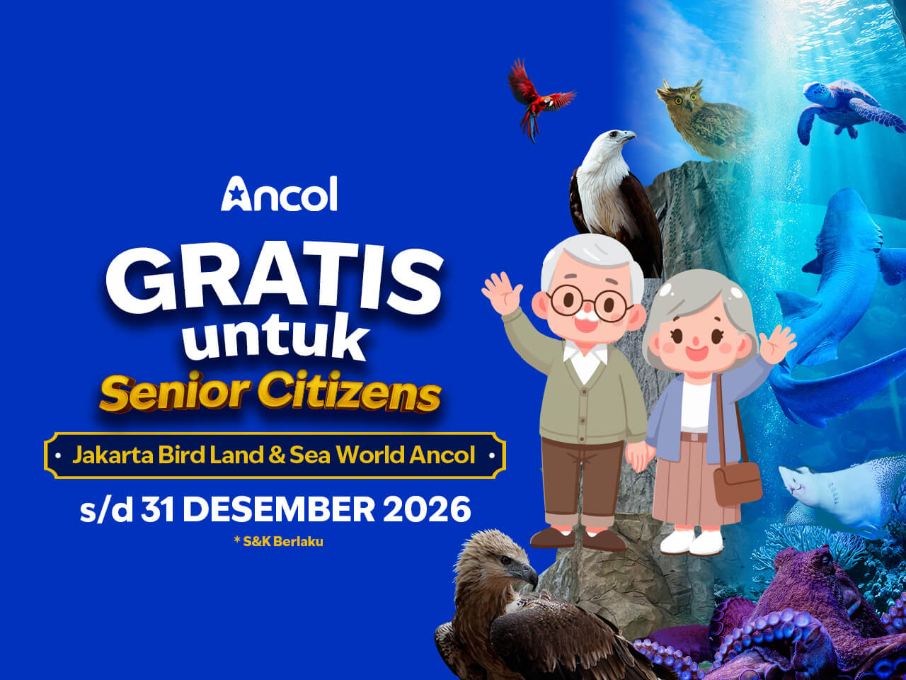 Jalan - Jalan Gratis Khusus Senior Citizen!